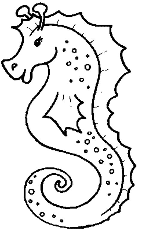 seahorse coloring pages pictures