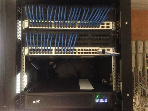 cable management  patch panel  switch networking