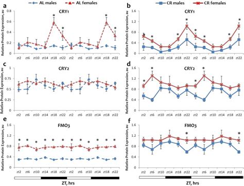 calorie restriction effects on circadian rhythms in gene expression are