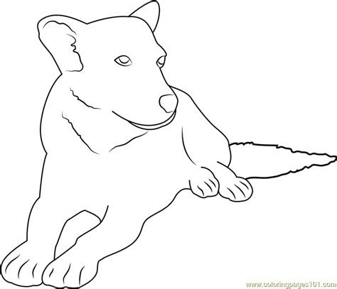 white face dog coloring page  kids  dog printable coloring
