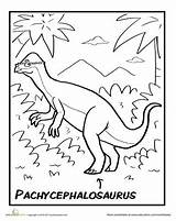 Education Coloring Prehistoric Pachycephalosaurus Color Worksheet Handsome Hypacrosaurus Pages sketch template