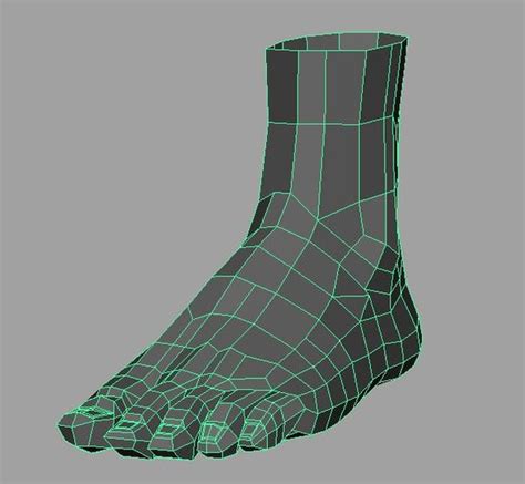 realistic foot  model