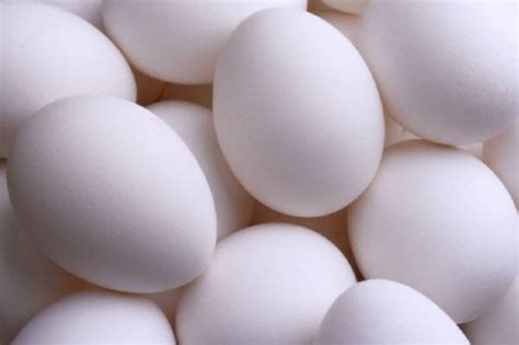 school  reliance  blog archive testing eggs  freshness