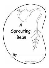 Bean Seed Sprouting Sprout Book Printable Shape Plant Coloring Enchantedlearning Germination Science Pages Template Plants Books Preschool Kindergarten Color Crafts sketch template