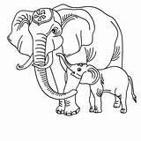 Elefant Ausmalbilder Elephant Hellokids sketch template