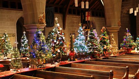 christmas tree festivals growing  popularity  diocese  llandaff