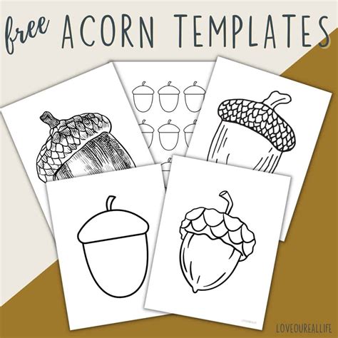 acorn template printables acorn shapes  crafts love