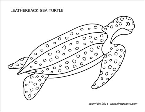 sea turtles  printable templates coloring pages firstpalettecom