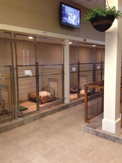 dog  large animal custom enclosures masonco dog boarding kennels dog houses dog rooms