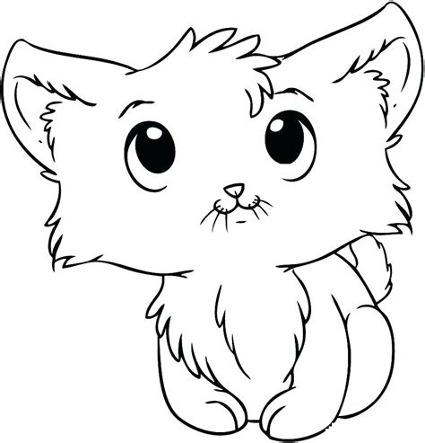 realistic cat coloring page  kids animal coloring pages printables