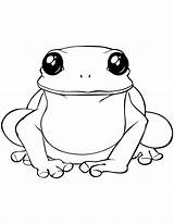 Rana Disegno Desenho Rane Sapo Stampare Sapos Frog Animali Salta Anfibio sketch template
