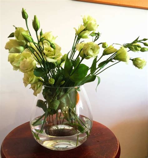 stylish betta fish  plant vase decorative vase ideas