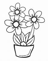 Bunga Matahari Mewarnai Diwarnai Pensil Warna Seperti Kalian Membuat Maupun sketch template