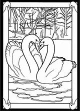 Coloring Pages Birds Book Glass Stained Dover Publications Bird Doverpublications Adult Color Swan Beautiful Colouring Patterns Swans Pairs Mated Transfer sketch template