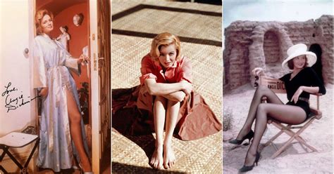 american hollywood icon 48 glamorous photos of angie dickinson in the 1950s and 1960s ~ vintage