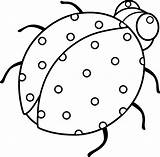 Ladybug Outline Clipart Ladybird Line Beetle Lady Coloring Clip Bird Drawings Cliparts Spotty Template Cute Library Book Sweetclipart Attribution Forget sketch template