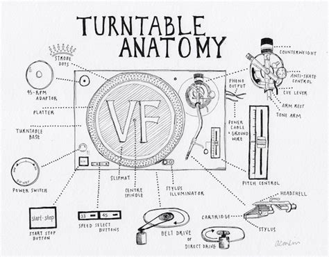 turntable anatomy  interactive guide   key parts   record player  vinyl factory