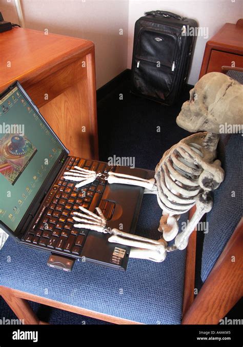 hard working skeleton stock photo alamy