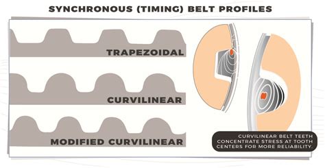 timing belt tooth profiles trapezoidal curvilinear  modified curvilinear