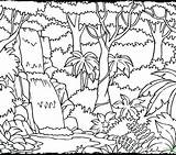 Rainforest Drawing Jungle Coloring Kids Pages Layers Printable Getcolorings Color Amazon Drawings Print Paintingvalley Getdrawings sketch template