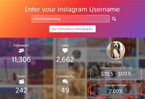 ways  measure  instagram marketing results social media examiner