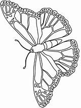 Pages Borboletas Schmetterlinge Papillon Schmetterling Coloriage Animaux Coloriages Ausmalbilder Monarch Ausmalbild Farfalla Sonoran Nano Ipod Scritta Colorier Kolorowanka Motyl sketch template