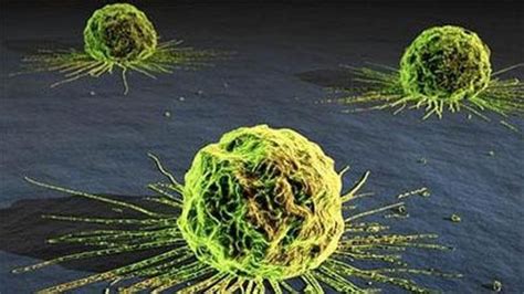 hallan agente que hace brillar células cancerígenas difíciles de detectar cubadebate