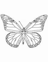 Butterfly Monarch Insect Alabama State Coloring Pages Kids Popular Coloringhome sketch template