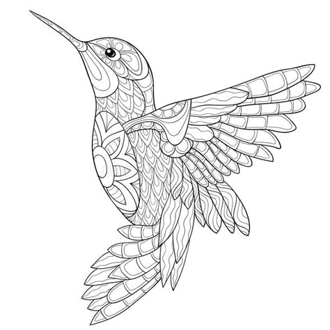 related image colibri dibujo dibujos  bordar libros