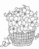 Basket Flowers Coloring Flower Pages Printable Drawing Paintingvalley sketch template