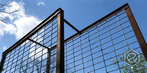 vertical screen ecotopes