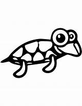 Sweety Cuttle Coloring Animal Pretty Cartoon Turtle Wecoloringpage sketch template