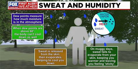 heat  humidity stressing athletes