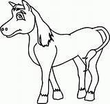 Kuda Mewarnai Betina Sketsa Cantik Hewan Binatang Nan Diwarnai Menawan Animasi Kumpulan Herbivora Poni Sapi Menggantikan Sebenarnya Lebih Silahkan Besarnya sketch template