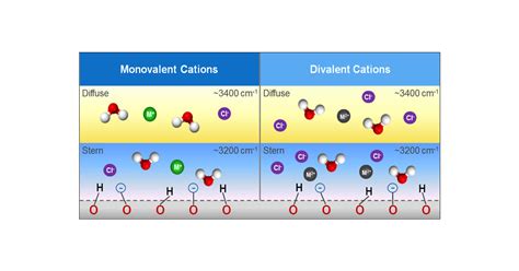 monovalent  divalent cations    alowater interface