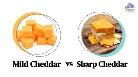 tasting  differences mild cheddar  sharp cheddar