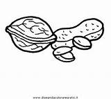 Nuts Noce Noci Walnuss Alimenti Assorted Malvorlage Surfnetkids Malvorlagen sketch template