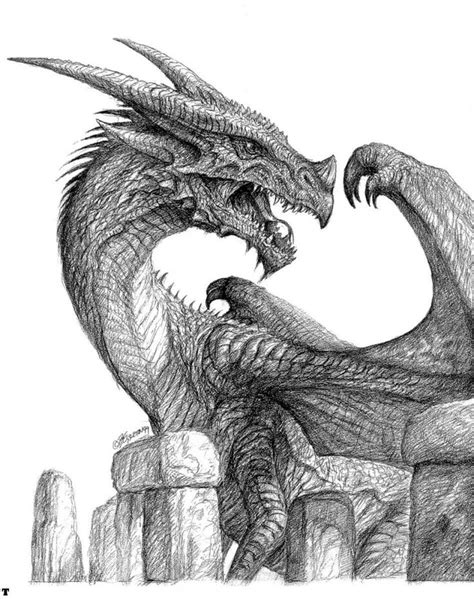 dragons images  pinterest dragons fantasy art  fantasy