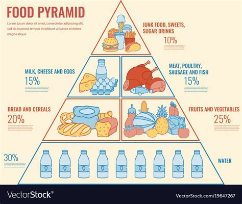 food pyramid healthy eating infographic healthy lifestyle icons