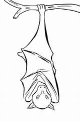 Bat Bats Colorluna sketch template