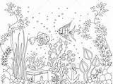 Coloriage Fondale Dessin Marino Poisson Pesci Fonds Marins Illustration Marini Pesce Seabed St2 Coloriages Hugolescargot Antistress sketch template