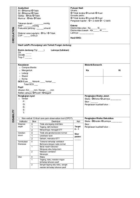 critical care icu assessment  monitoring sheet