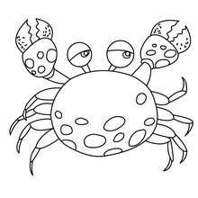 aquatic animals coloring pages printable coloring pages
