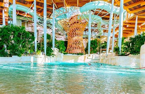 center parcs la destination pour petits  grands voyages loisirs