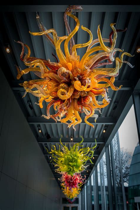The Wonderful Art Of Dale Chihuly