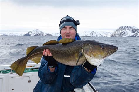 buecher uebers meeresangeln  norwegen simfischde angeln und outdoor