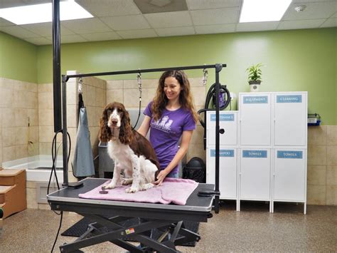 dog bathing services  mooresville nc pampered pet  inn