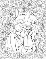 Coloring Pages Pitbull Getdrawings sketch template