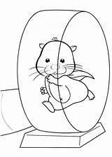 Hamster Coloring Pages Wheel Pet Cute Running Cartoon Gerbil Exercise Dwarf Printable Kids Drawing Color Getcolorings Getdrawings Print Sheet Colorings sketch template
