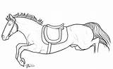 Horse Tack Coloring Jumping sketch template